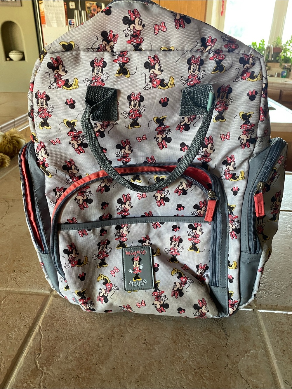 Disney Minnie Mouse Gray Pink Yellow Patterned Kids Backpack